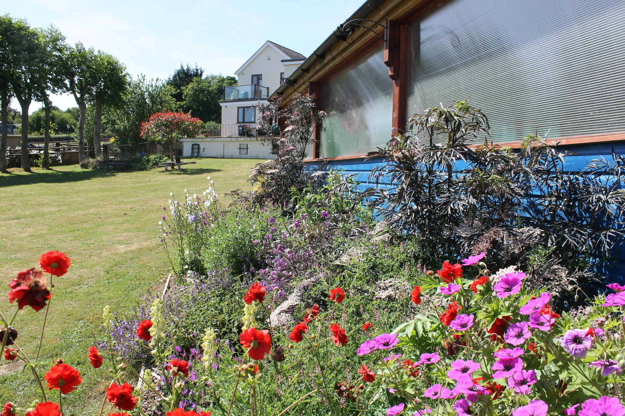 Homelea Bed And Breakfast Canterbury Eksteriør billede